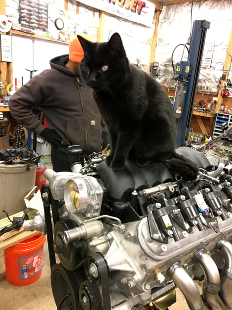 Van’s shop cat guards the new LS3 engine.